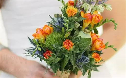 3月八字本命年_2026年3月本命年八字运势