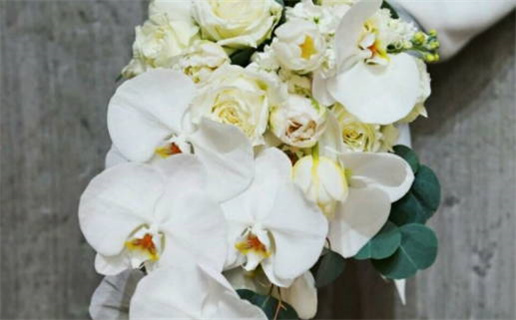 3月贵人最多生肖_2026年3月贵人运最旺生肖