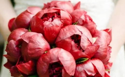 3月属虎起名_2026年3月出生的属虎宝宝取名