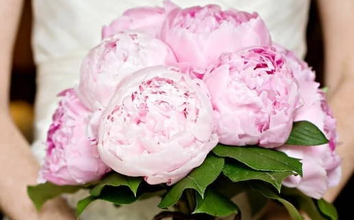 3月属羊_2026年3月属羊人运势完整版