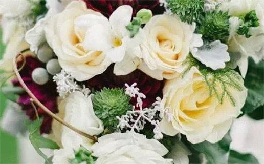 3月生肖每日运程_2026年3月12日生肖运势