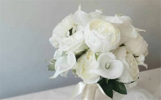 3月冲太岁生肖_2026年3月冲太岁的生肖