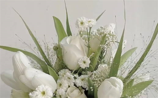 3月属鸡起名_2026年3月出生的属鸡宝宝取名