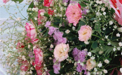 3月出生宝宝取名宋词中的字_3月宝宝取名宋词字库