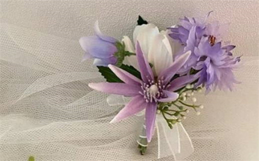 3月生肖运势速查表_2026年3月生肖运势速查