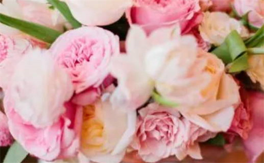 3月生肖投资运_2026年3月十二生肖投资运势