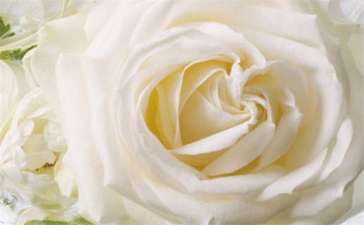 3月出生的属龙宝宝名字_属龙男孩女孩名字大全