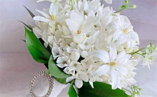 3月属猴_2026年3月属猴人运势完整版