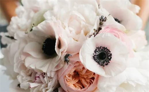 3月出生的姓孙男孩名字_姓孙的3月男宝宝取名