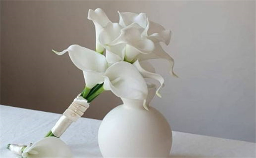 2026年3月属龙运势_2026年3月属龙人运程