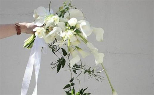 3月八字算命软件_最好用的八字软件