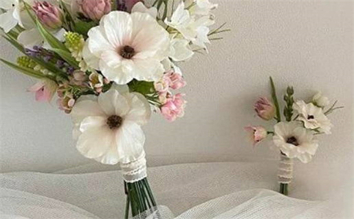 3月紫微斗数命宫_2026年3月紫微命盘命宫解析