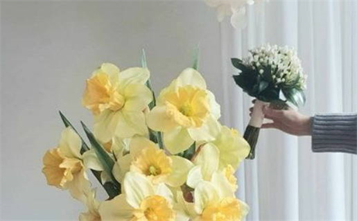 2026年3月属牛运势_2026年3月属牛人运程