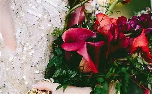 3月属鼠每日运_2026年3月20日属鼠运势