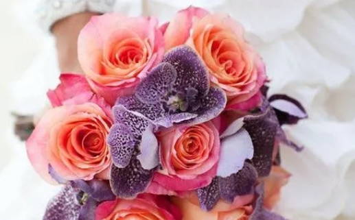 3月属狗感情_2026年3月属狗人感情运